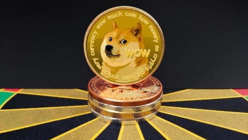 DOGE首个ETF上线，狗狗币价格前景一文看懂 - 菜鸟下载