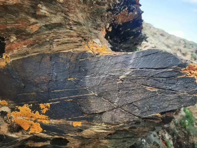 尕日塘秦刻石文字拓片