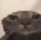 每月5块的车机流量