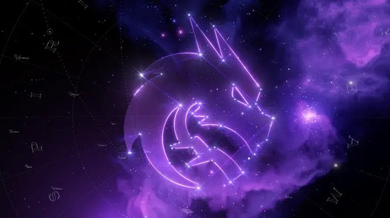 Team Spirit全队合影