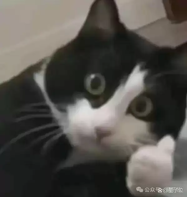 AI芯片独角兽一年估值翻番！放话“三年超英伟达”