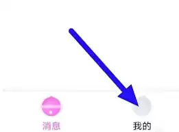 豚豚剧登录界面