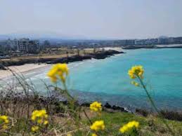PEAK海岸游玩攻略：最全玩法指南与特色体验分享