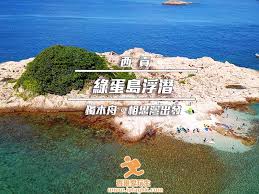 奇蛋生物水岛高效布局攻略：规划思路详解