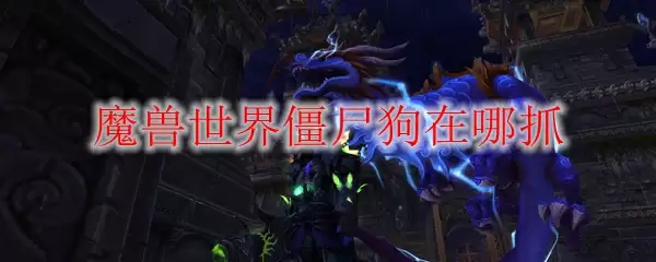 魔兽世界僵尸狗在哪抓