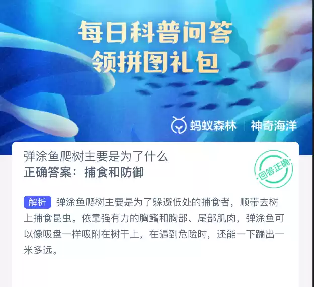 弹涂鱼解剖特征示意图