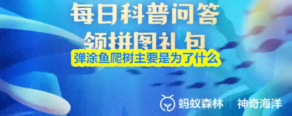 弹涂鱼爬树行为示意图