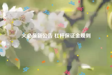 火必最新公告 杠杆保证金规则-第1张图片-币安下载