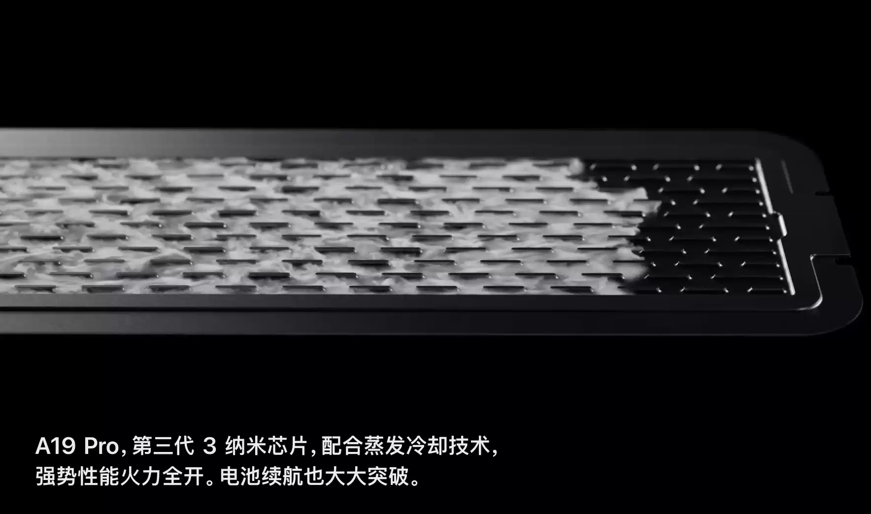 Wec h a tIMG6087.webp