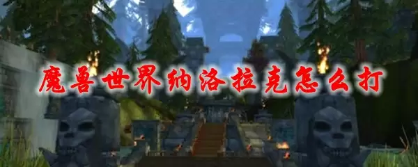 魔兽世界纳洛拉克战斗示意图