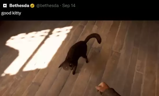 夺宝奇兵实机演示因摸猫场景引争议