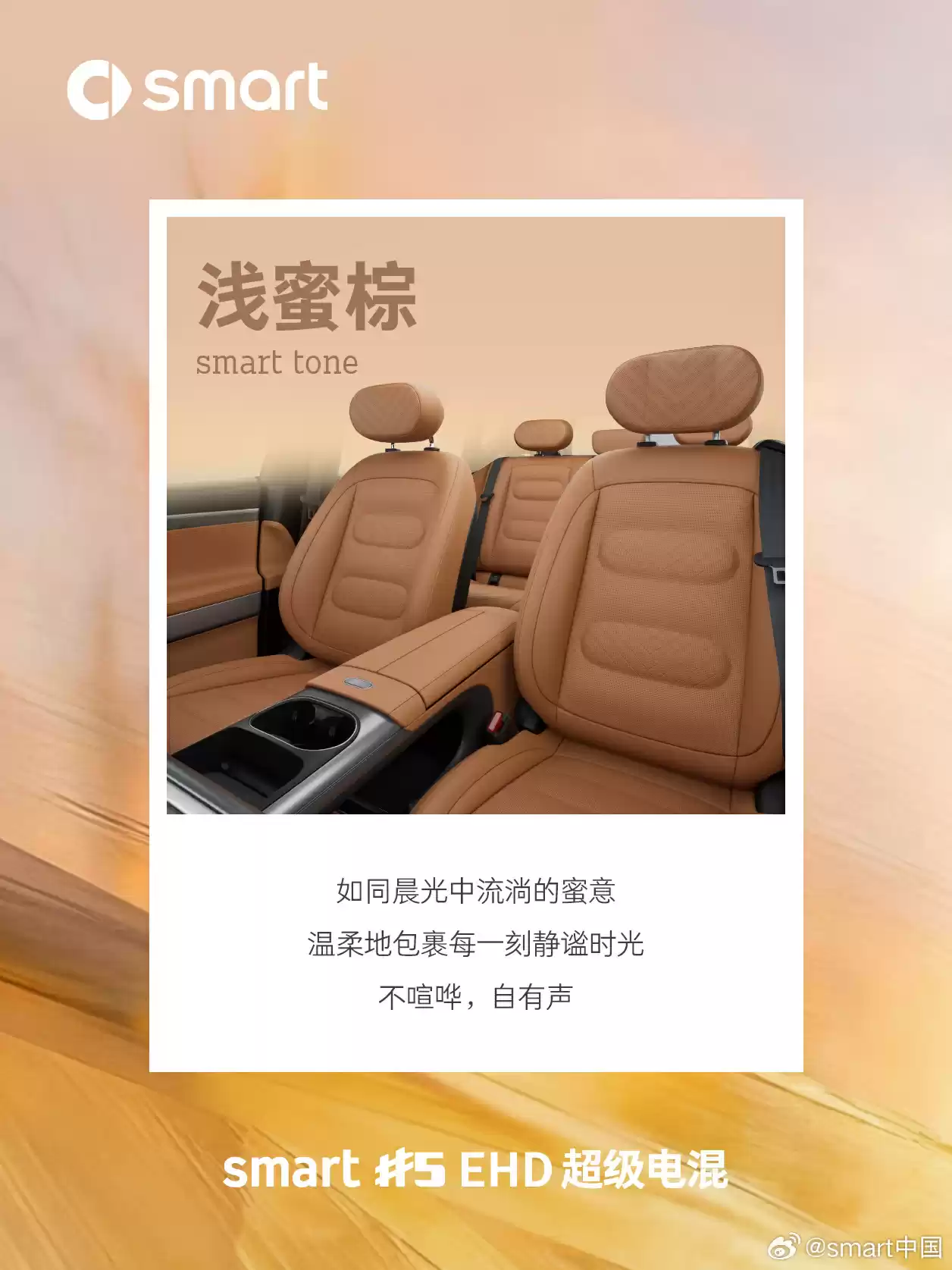 smart纯电版配置