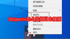 Snipaste日志设置界面