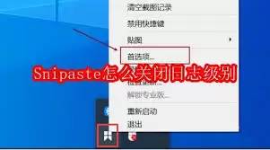 Snipaste日志设置界面