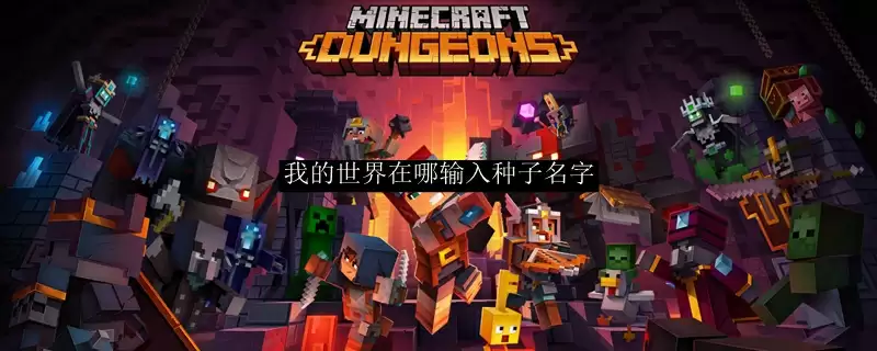 我的世界种子输入位置示意图