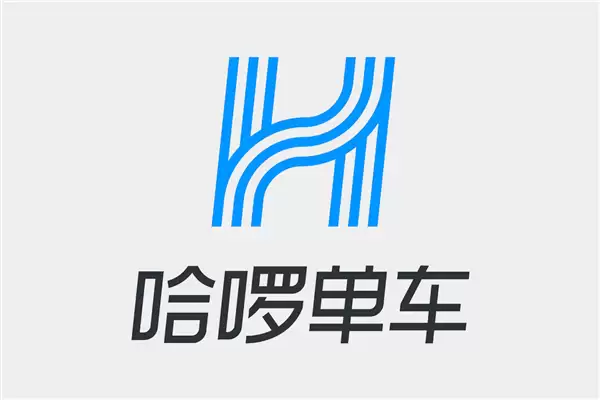 网友称骑哈啰单车前轮突然抱死