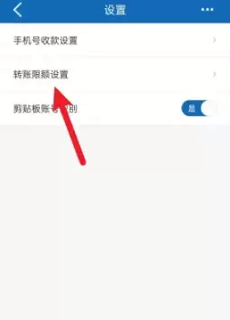 限额设置入口截图