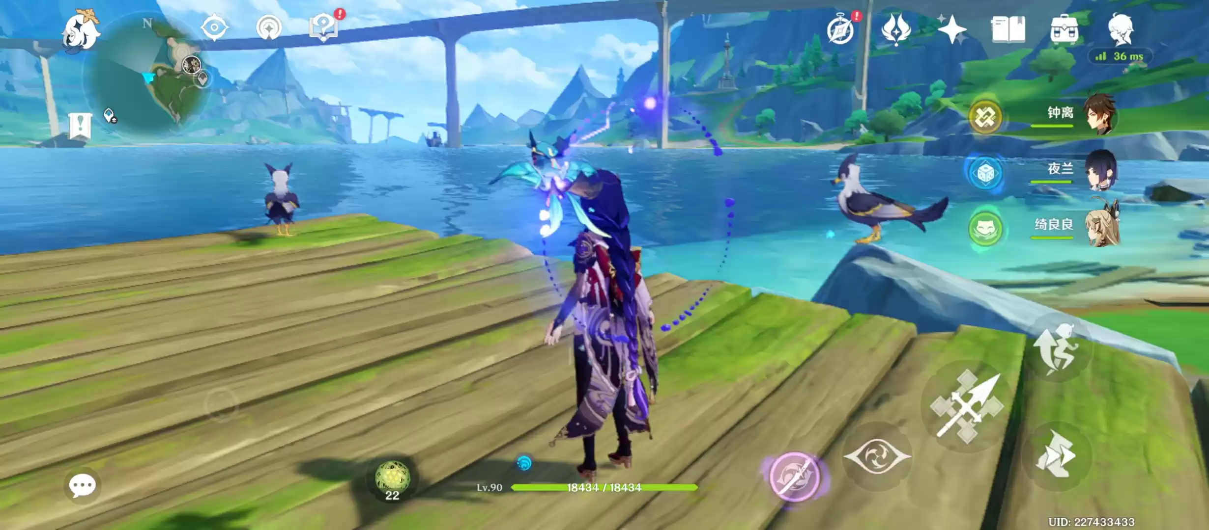 紫金渔鸥外观特征