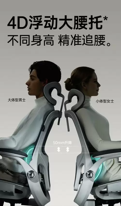 人体工学椅推荐--黑白调P2