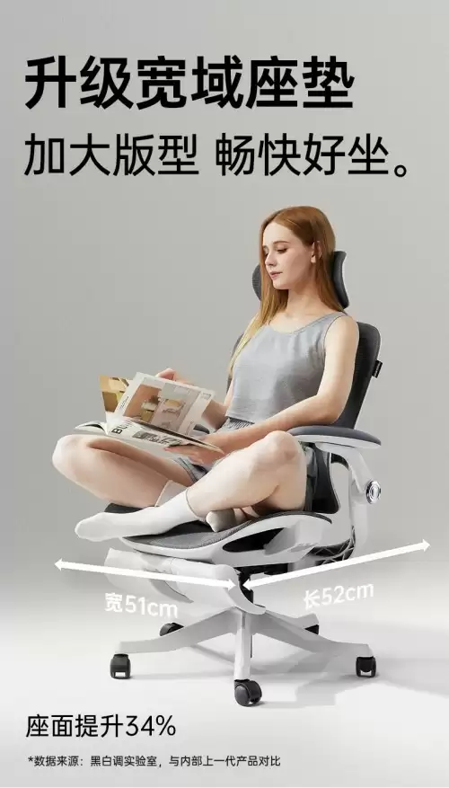 人体工学椅推荐--黑白调P2