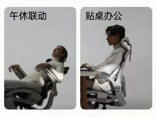 人体工学椅推荐--黑白调P2