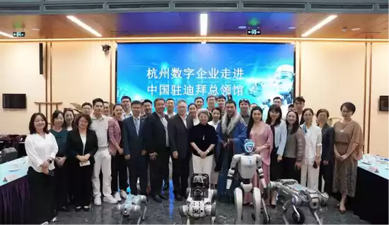 代号三国：龙起参加文化出海交流活动