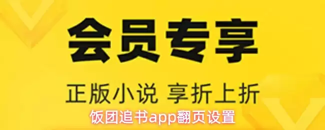 饭团追书app翻页设置