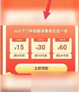 消费券选择界面