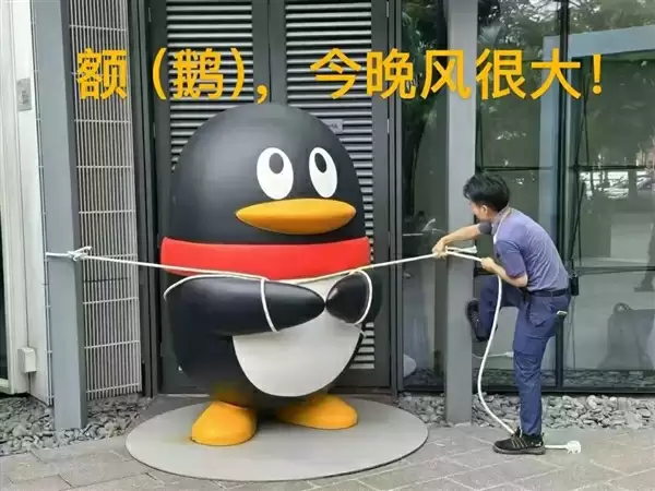 “桦加沙”逼近 腾讯拴企鹅“大作战”：没想到今天真的拴Q了  网友：笑得不行了