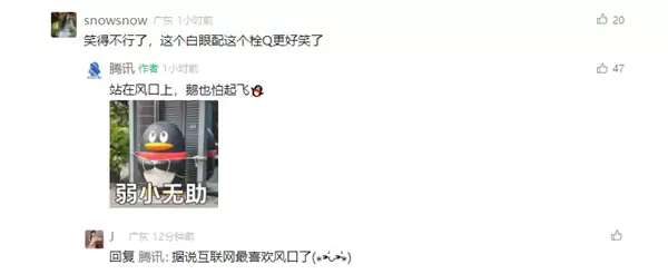 “桦加沙”逼近 腾讯拴企鹅“大作战”：没想到今天真的拴Q了  网友：笑得不行了