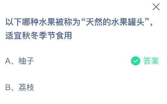 柚子特写图片