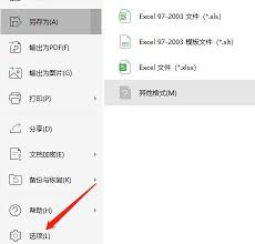 WPS默认格式设置截图