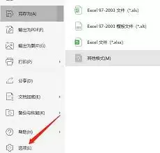 WPS默认格式设置截图
