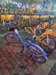 哈啰单车预约界面