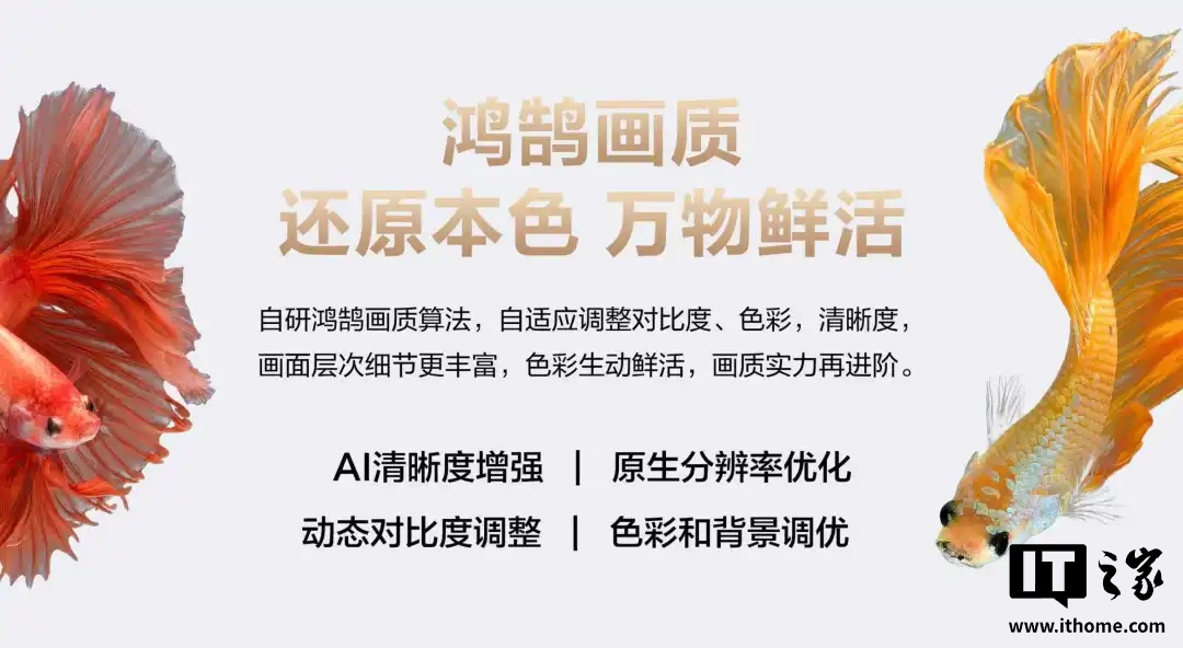 长虹星闪电视