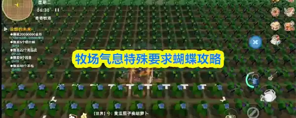 牧场气息特殊要求蝴蝶攻略