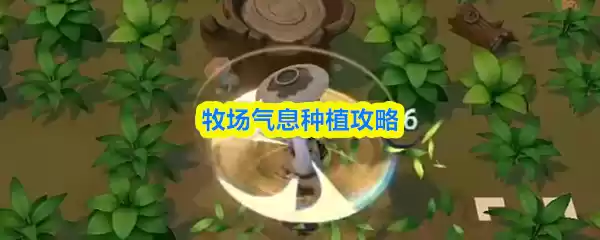 牧场气息种植攻略