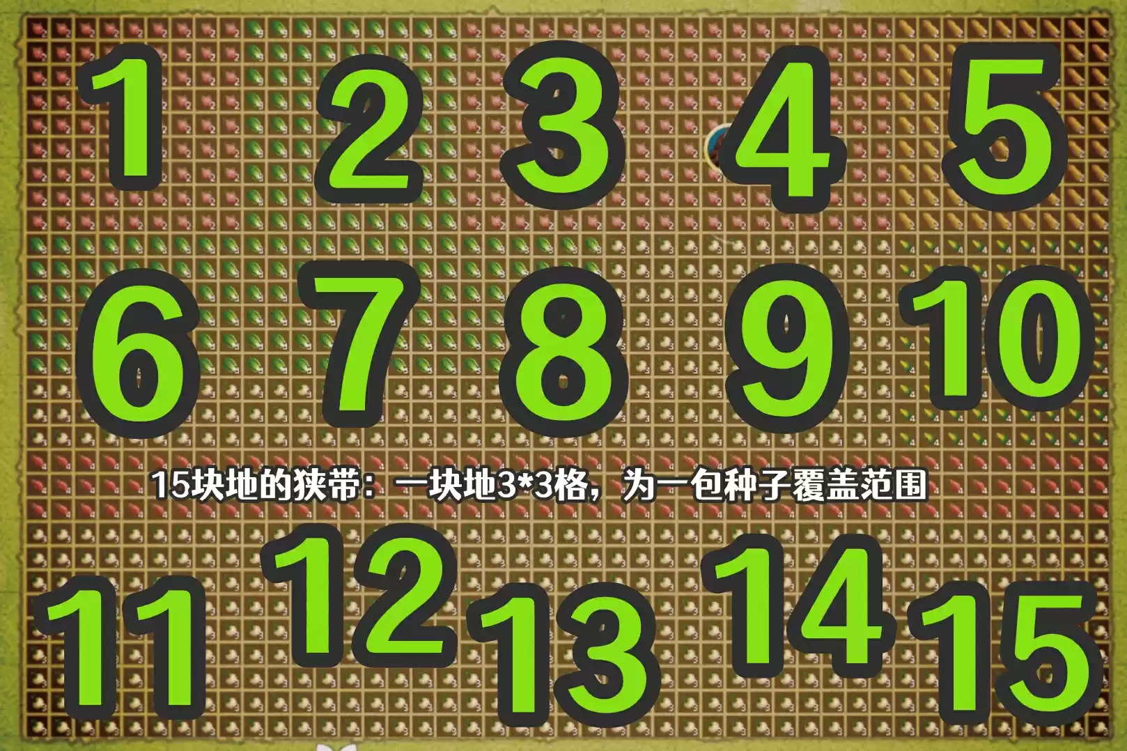 农场格局示意图