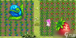 作物日常养护示范