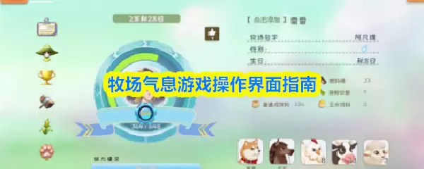 牧场物语游戏操作界面指南