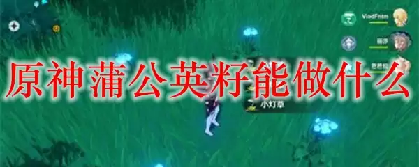 原神蒲公英籽采集指南