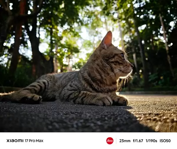 小米17 Pro逆光样张