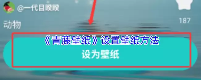 《青藤壁纸》设置壁纸方法