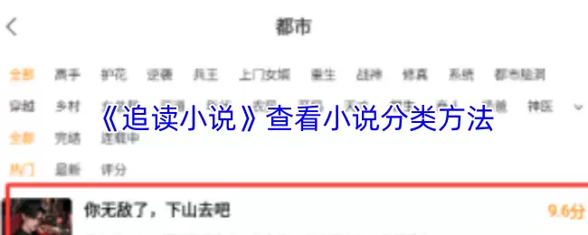 《追读小说》查看小说分类方法