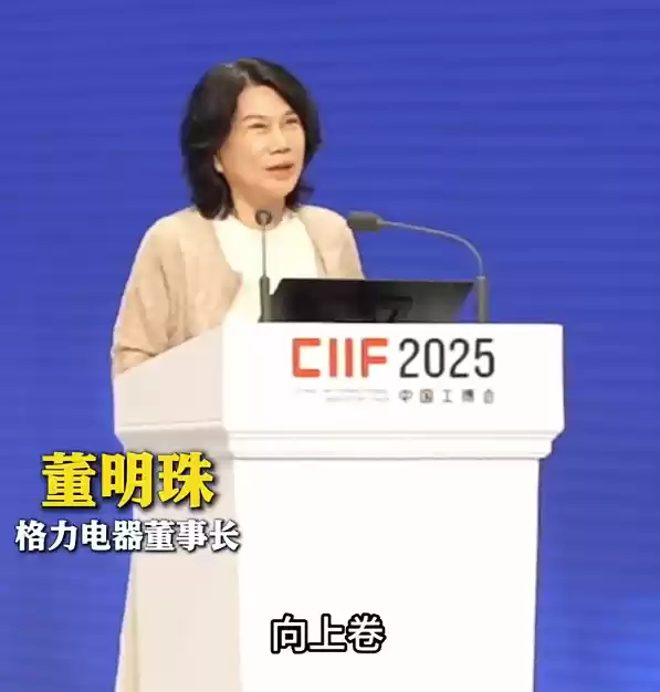 董明珠工博会发言