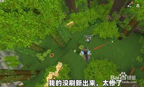 法杖使用效果