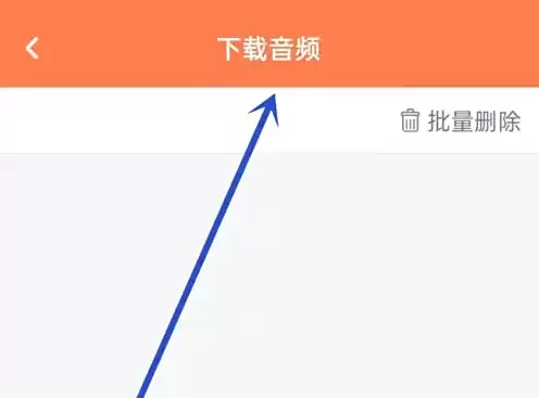 查看已下载音频列表