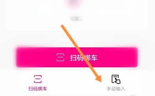手动输入选项
