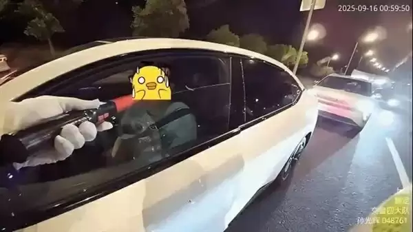 新手司机上牌第一天就“凉凉”：驾驶证被吊销5年