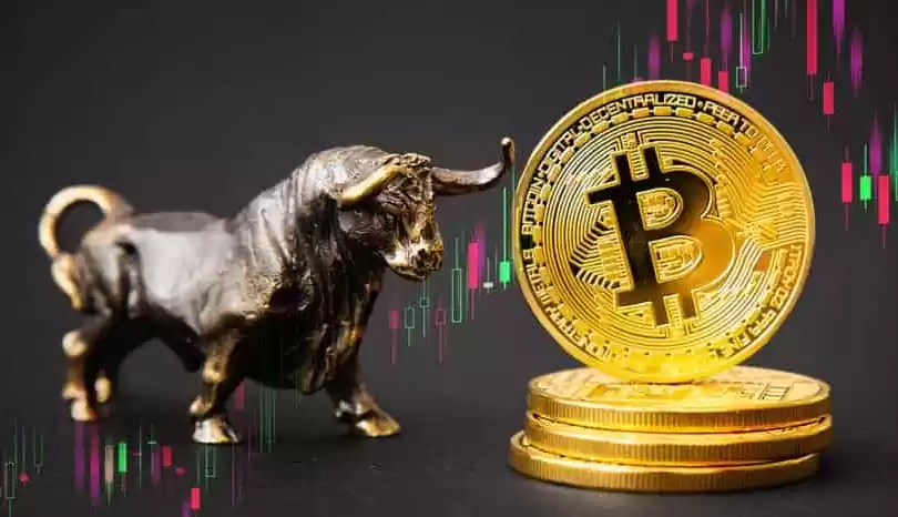 btc币行情在哪里看 比特币BTC行情分析软件推荐 - 菜鸟下载